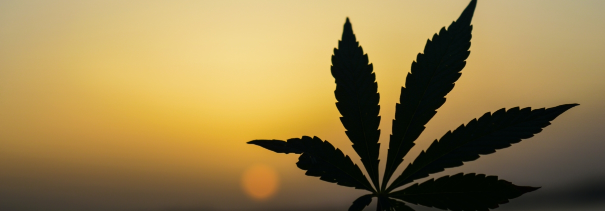 marijuana legalization and security in toronto
